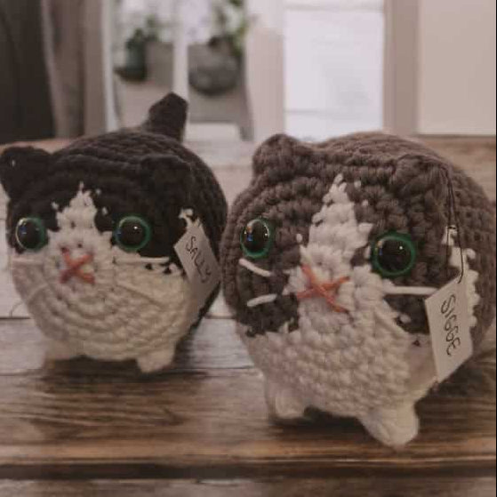 Made To Order Cats